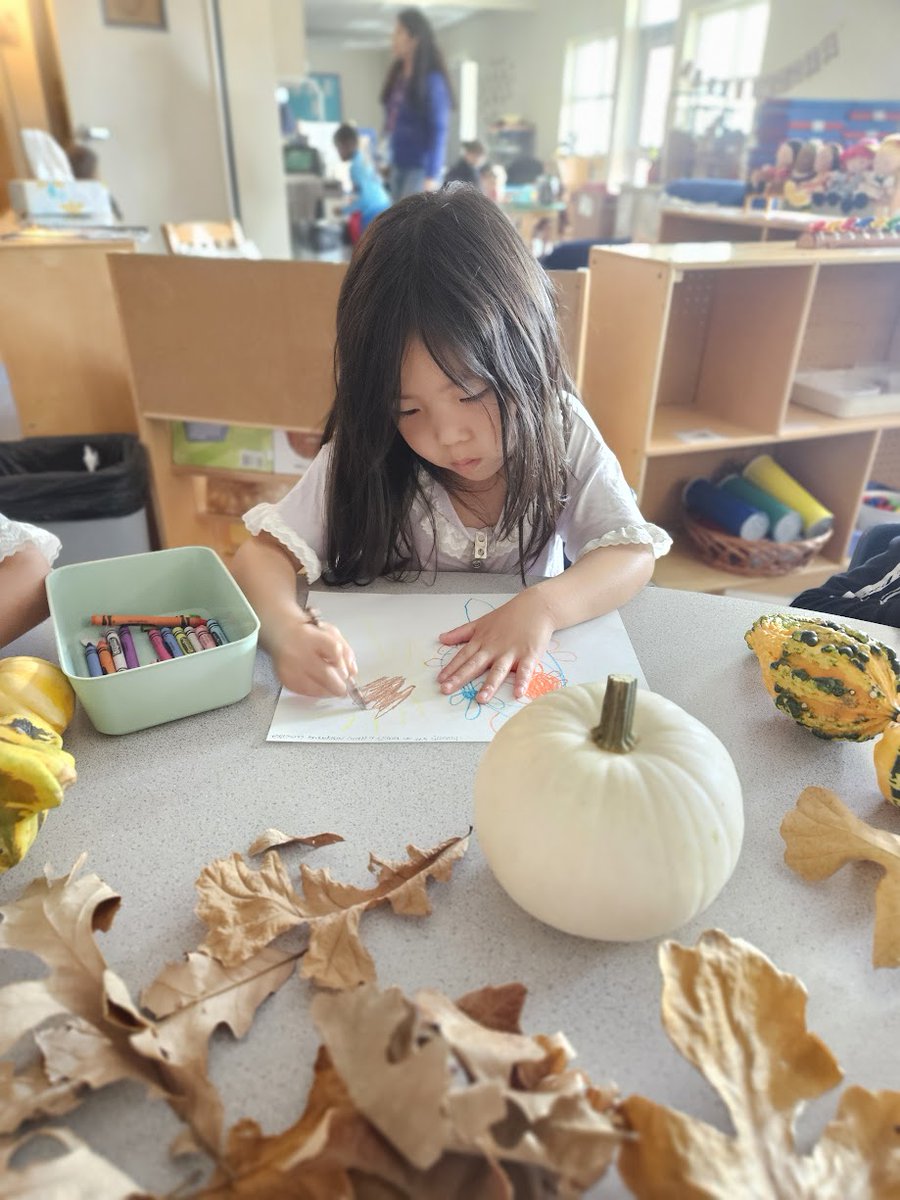 IsaacsECS's tweet image. Today on Make it Fun Monday, we have students in Ms. Darien&apos;s class exploring and drawing pumpkins. We make Learning Fun! #MakeitFunMonday #PoweredbyLearning @Plano_Schools