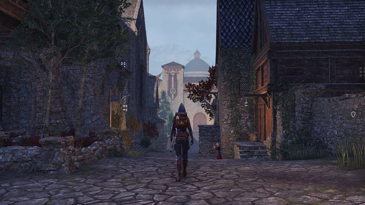 BatLunatic's tweet photo. PART2: There is a guard at the door of the royal home, who says that there is not a single witch named Cero here. He didn't even check after seeing her eye, but she understands. 

What is she going to do now?

#ElderScrolls #ElderScrollsOnline #ESOFam
@TESOnline @eso_fam https://t.co/Octz2nGaMh