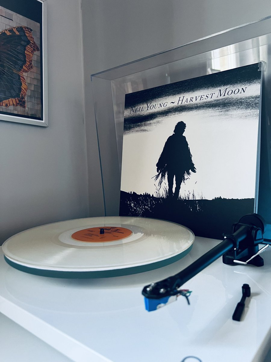 Days off, chilling to a bit of <a href="/Neilyoung/">Neil Young</a> 👌🏻