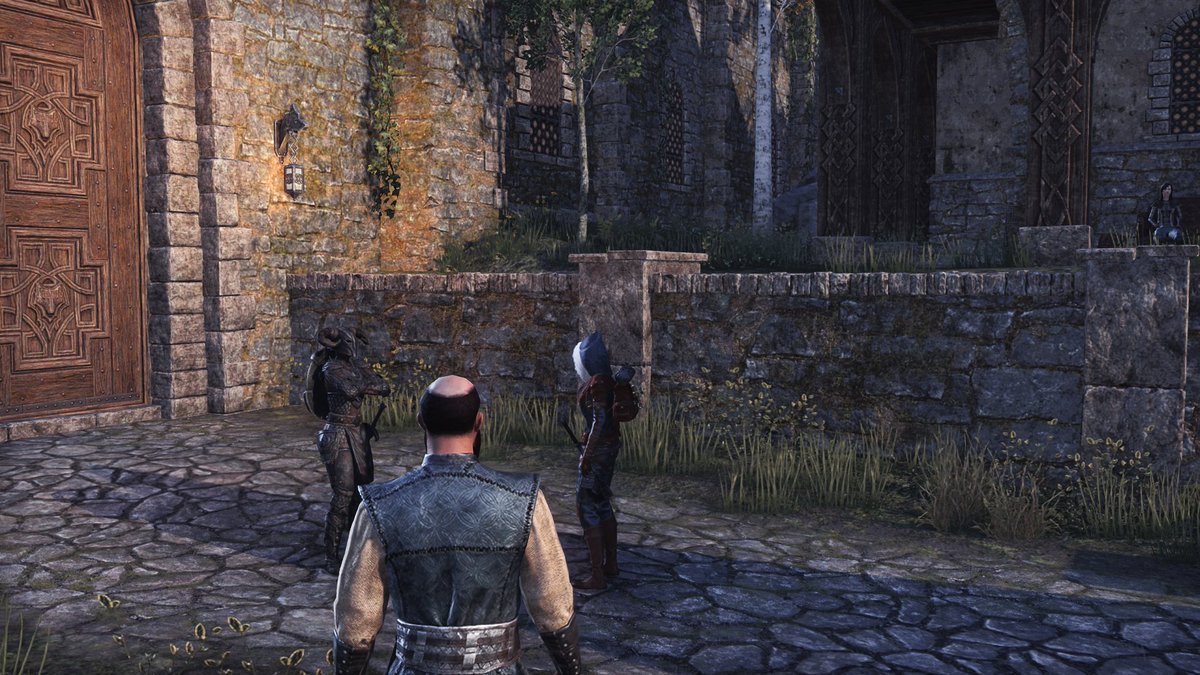 BatLunatic's tweet photo. PART2: There is a guard at the door of the royal home, who says that there is not a single witch named Cero here. He didn't even check after seeing her eye, but she understands. 

What is she going to do now?

#ElderScrolls #ElderScrollsOnline #ESOFam
@TESOnline @eso_fam https://t.co/Octz2nGaMh