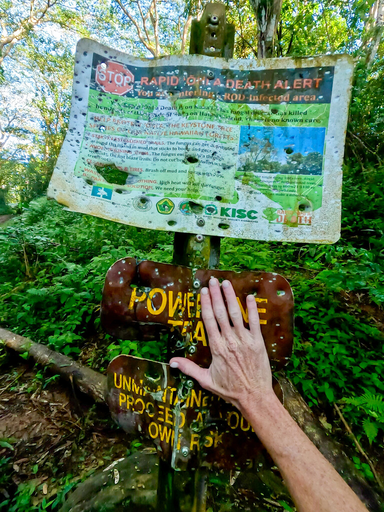 FastestKnown's tweet photo. Aloha from the Powerline Trail - https://t.co/WZaMpr7XLA

#fkt #fastestknowntime #hawaii #newsletter #louisiana #supported https://t.co/r05mJ7RHFh