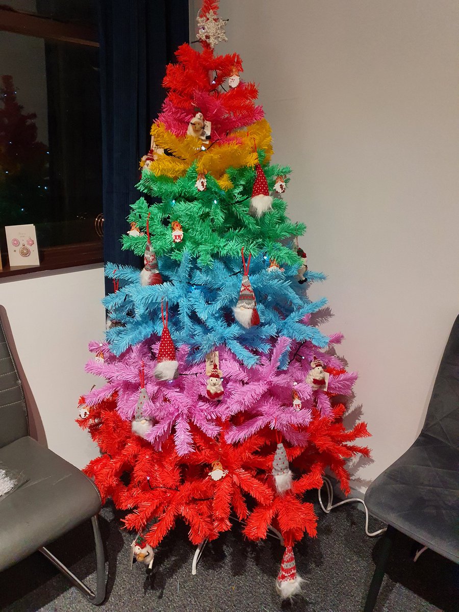 We just love our rainbow Christmas tree 🎄 Perfectly.colourfulfir our #Woolshop #Belfast #Rosetta