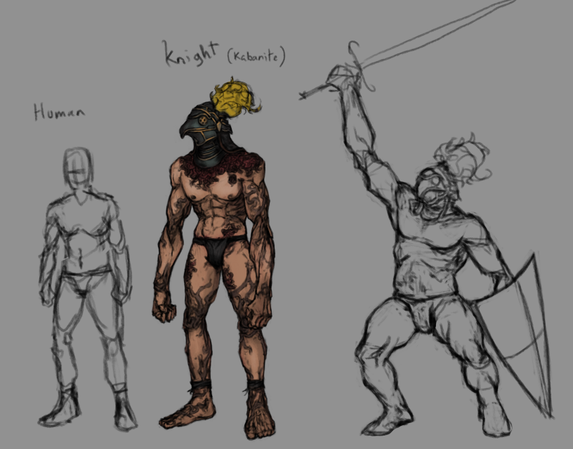 Providence Knights anatomy
#conceptart