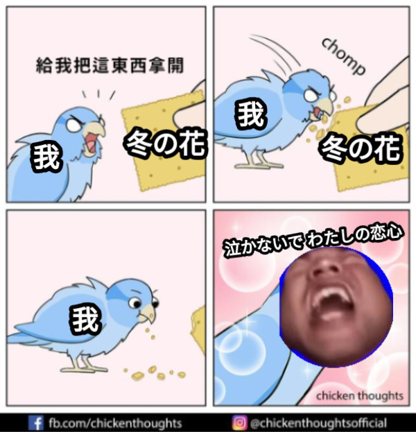 Securecode1 tweet picture