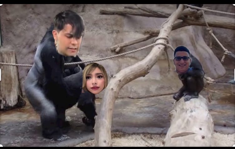 x_emiro's tweet photo. #urbanstream #coparata viernes y sábado ayyyyy no aparece por ningún lado y cuando le tiramos a tin ayy si sale el hp https://t.co/cK0GvtSgt7