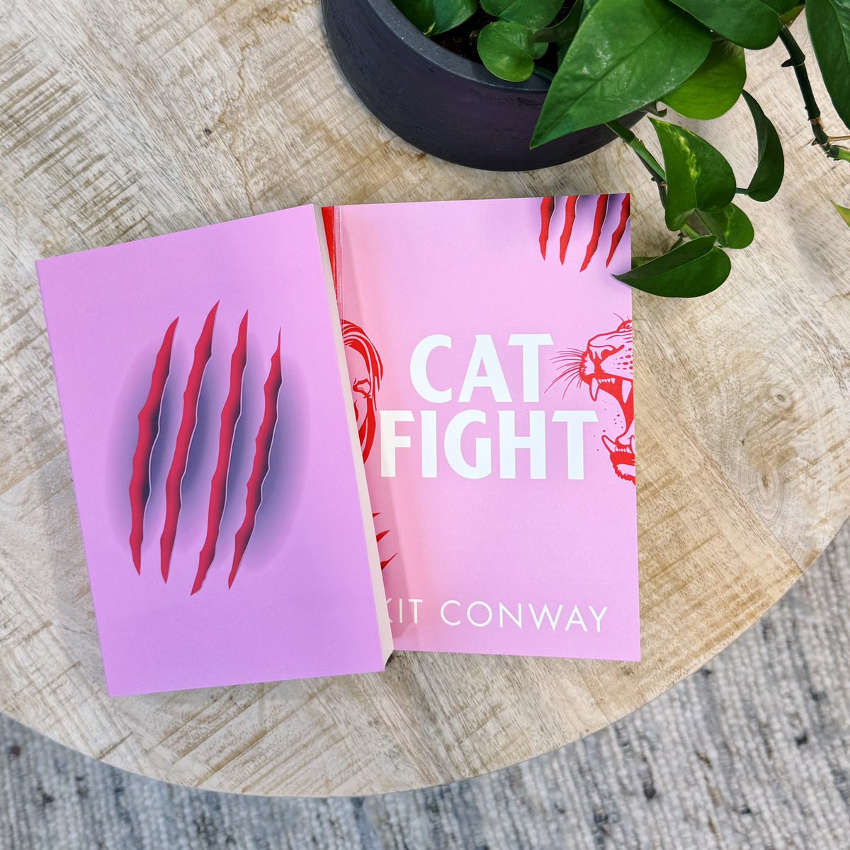 ollie (@ollie__martin) on Twitter photo completely obsessed with Cat Fight; a deliriously fun, gossipy novel that sunk its claws into me over the last few days — think the small town drama of The Appeal with the pyrotechnics of Bravo’s Real Housewives
out from <a href="/TransworldBooks/">Transworld Books</a> in May 2025🐆 completely obsessed with Cat Fight; a deliriously fun, gossipy novel that sunk its claws into me over the last few days — think the small town drama of The Appeal with the pyrotechnics of Bravo’s Real Housewives
out from <a href="/TransworldBooks/">Transworld Books</a> in May 2025🐆