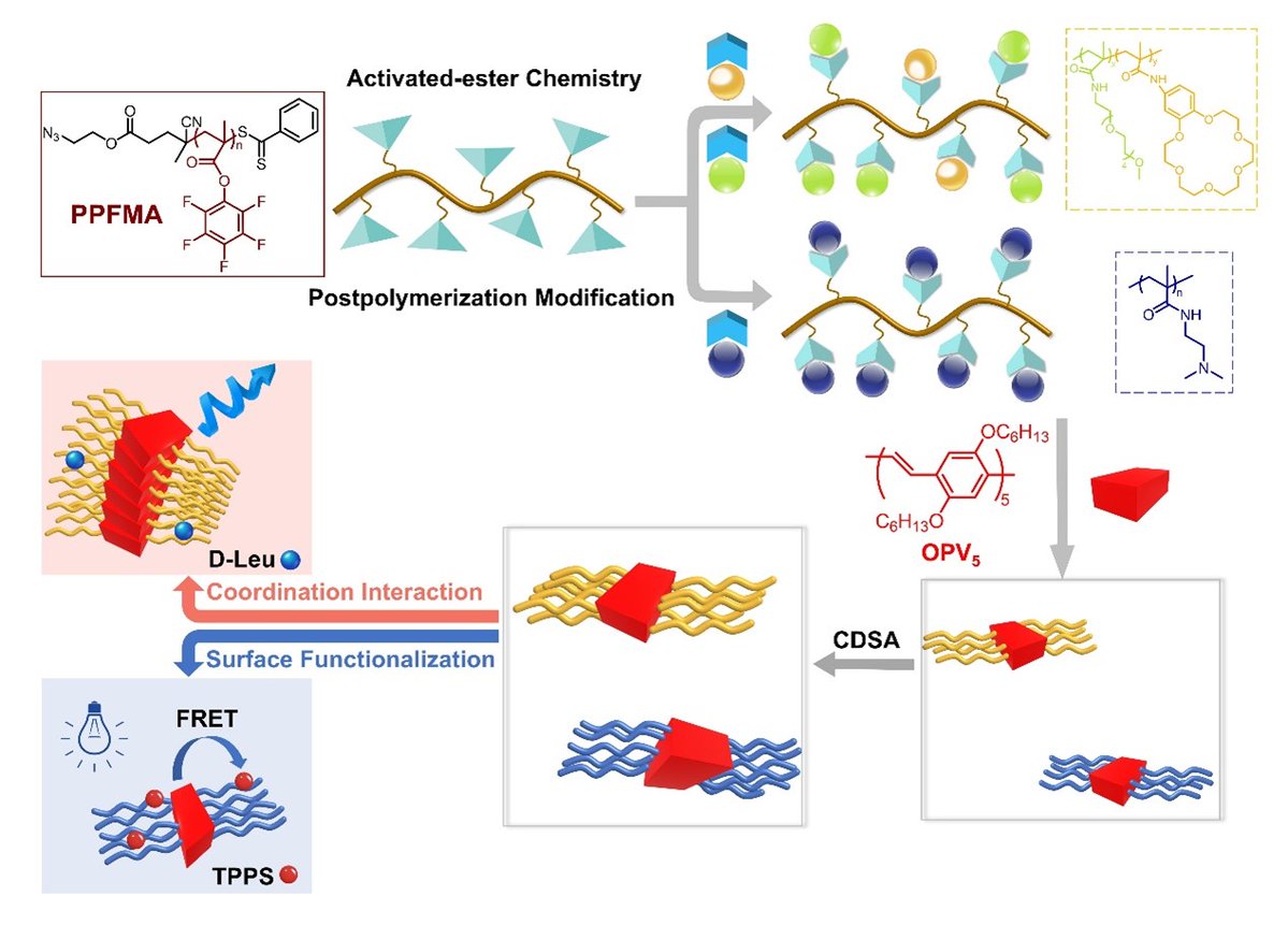 Check out the Paper of the Month in <a href="/PolymChem/">Polymer Chemistry</a> on the development of facile, efficient and versatile approaches for preparing π-conjugated-polymer-based nanofibers by Xiang, Feng et al.

➡️rsc.li/4f8NPuk

See the blog written by <a href="/KellyVelonia/">Kelly Velonia</a>
➡️rsc.li/3VFZ0no