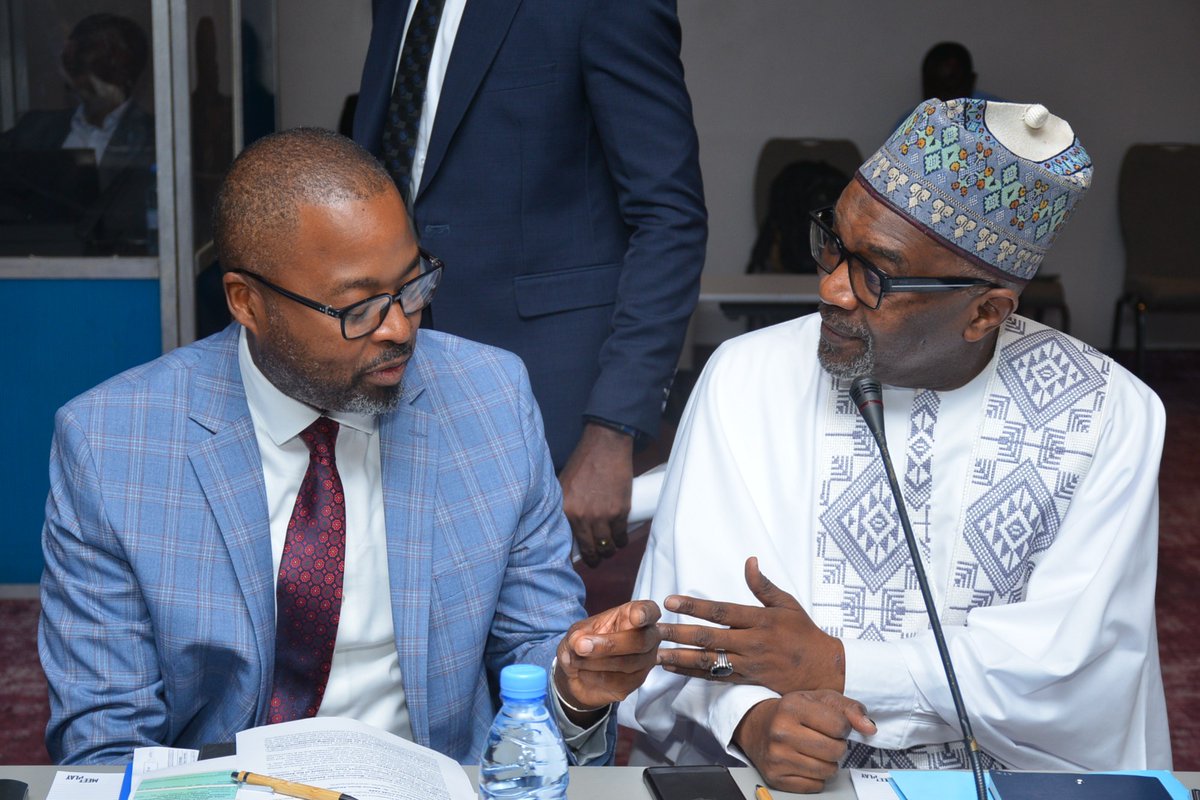 AUDA-NEPAD tweet media