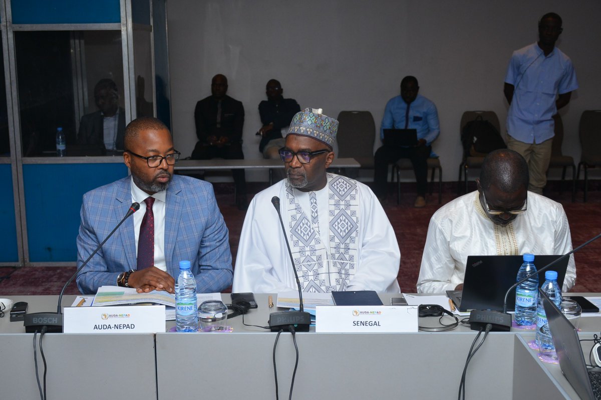 AUDA-NEPAD tweet media