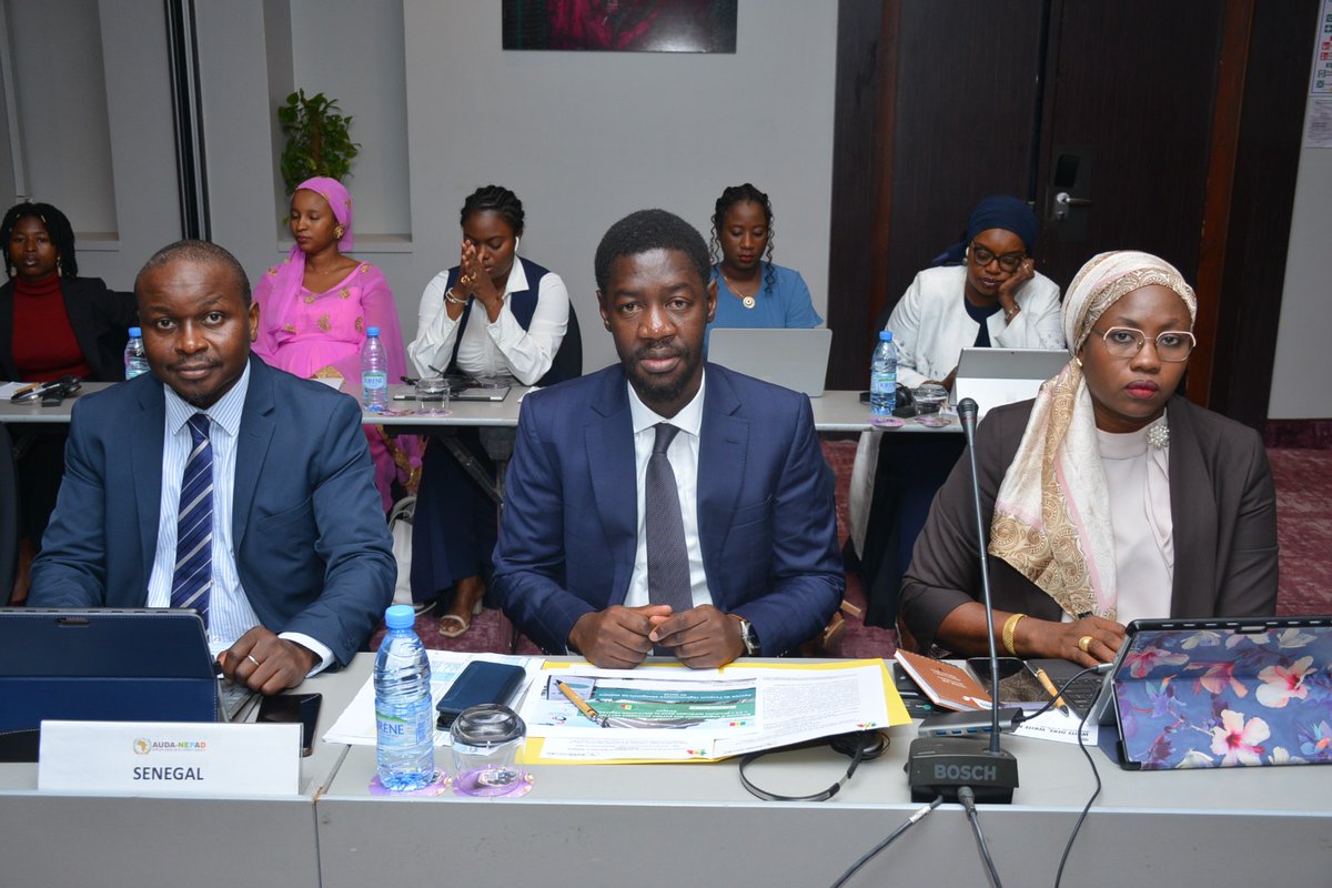 AUDA-NEPAD tweet media