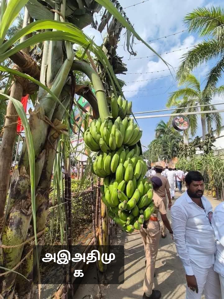 FathimaMrm's tweet photo. அஇஅதிமுக VS திமுக...
தலைவன் எவ்வழி தொண்டர்கள் அவ்வழி...  
@EPSTamilNadu 
@AIADMKITWINGOFL @AIADMKOfficial @satyenaiadmk https://t.co/gfjpcGusqt