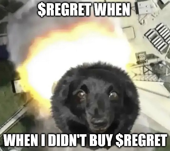 $REGRET doing regret things👽