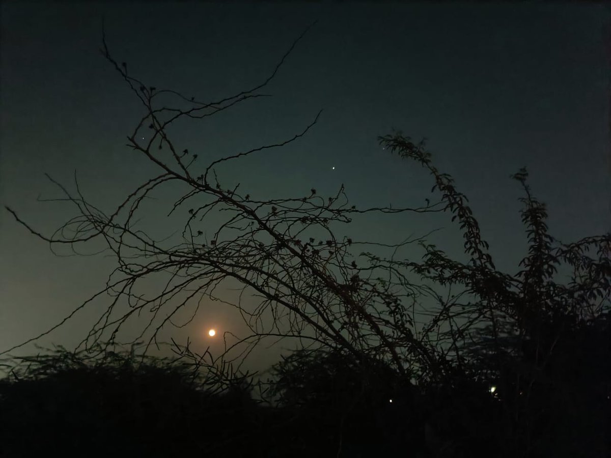 Truthvibeswrite's tweet image. #Threshold
of
#challenges
&amp;amp;
Life smiles
on a razor&apos;s edge
Amidst
a spate of Decembers
A #hearth awaits
#Santa&apos;s sledge
Bleeding #Hope crawls
on embers of life
Not letting go its smile
It maynot be
so soon
unfazed is
A solitary star&apos;s
#Xmas yearning for moon
#vss365
#NAlove
📸ours