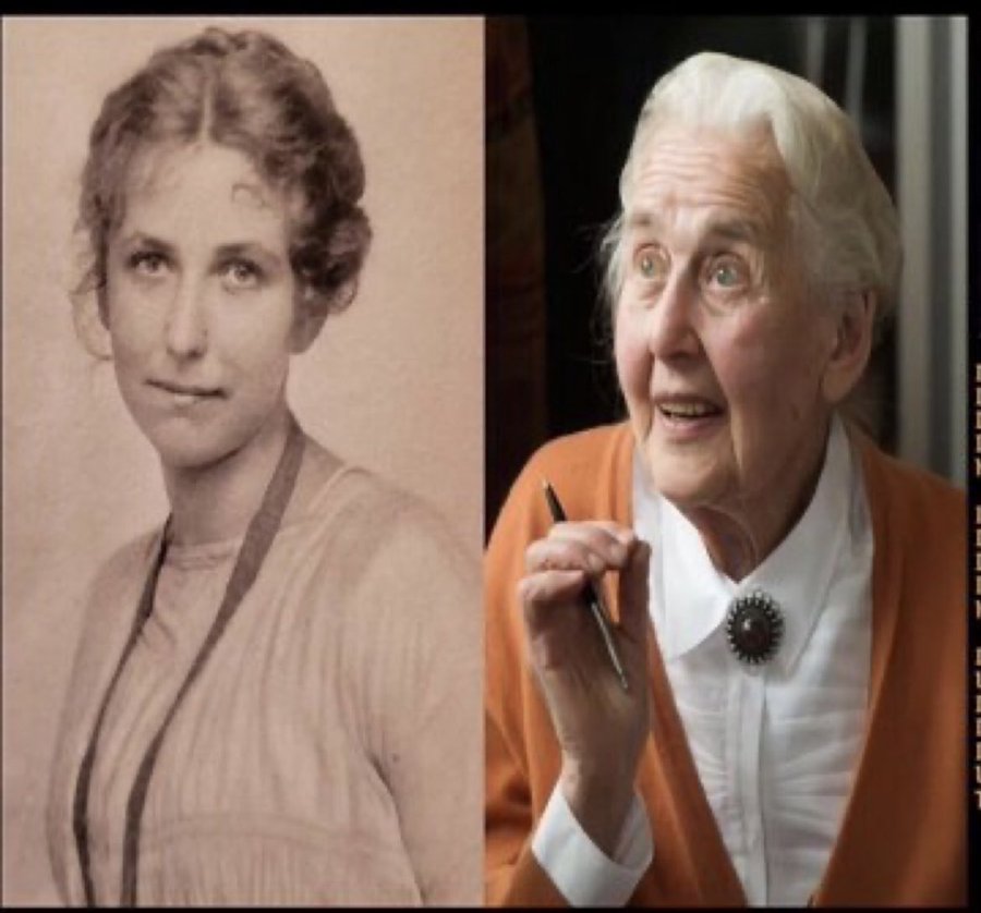 MahlerJames's tweet image. This will explain a lot 👇👇