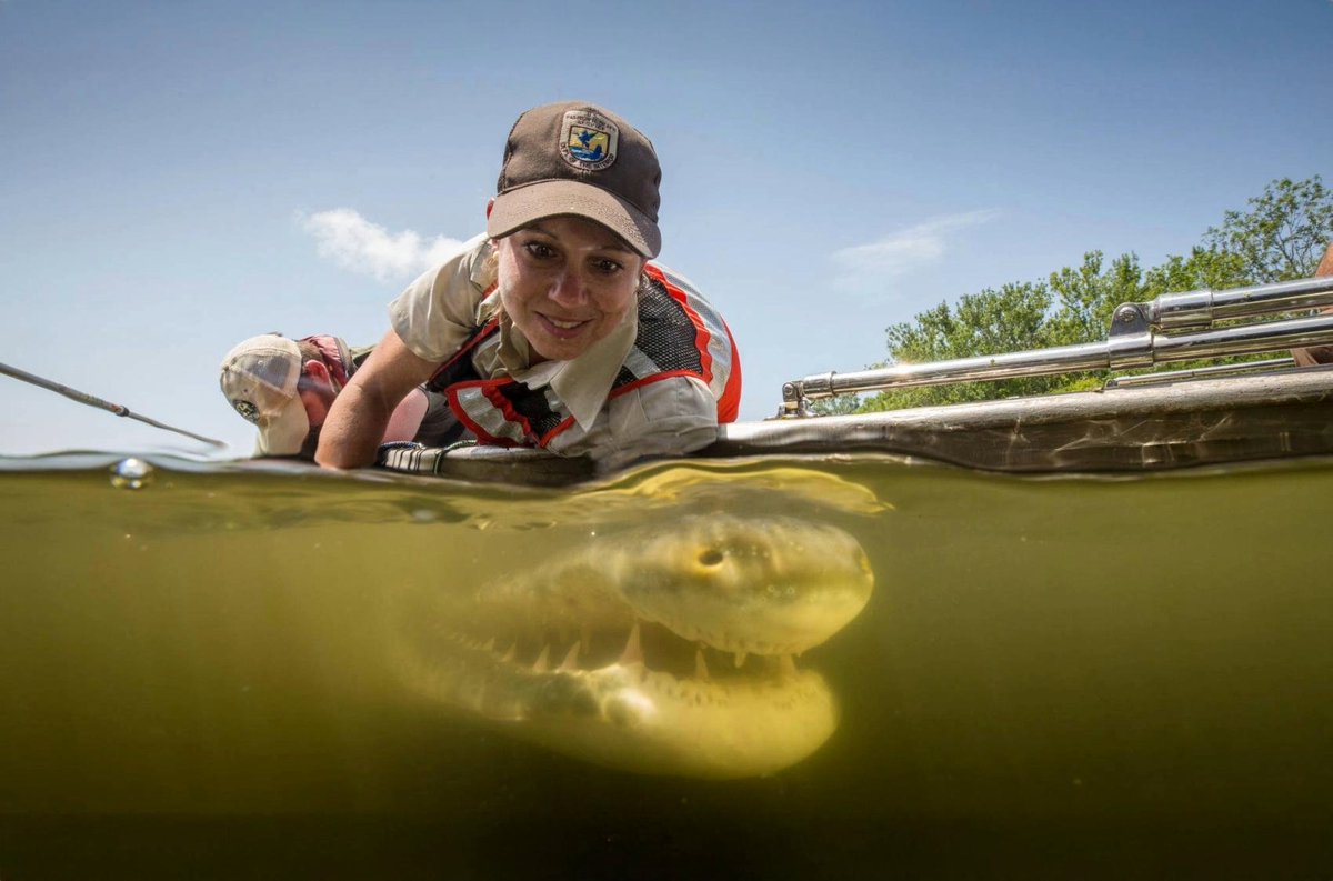 IT'S GAR WEEK!!!!

WE'LL SELL YOU THE WHOLE SEAT BUT YOU'LL ONLY NEED THE EDGEEEEEE!!!!!!!