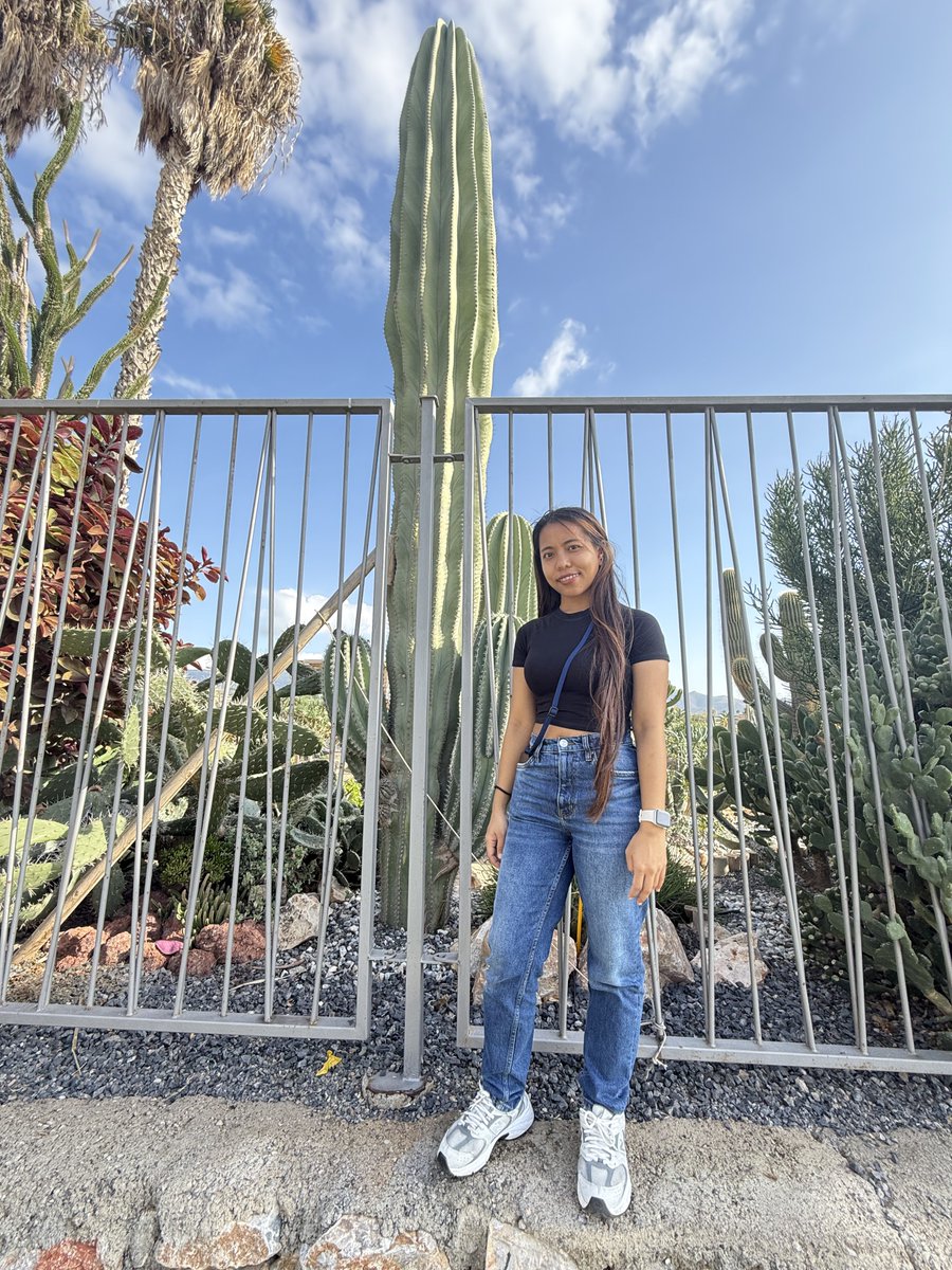 BadToxic's tweet photo. More from the #cactus #garden in #Motril (#ship #NorwegianPearl).
#parque #JardinDeCactus #park #cactus #Kaktus #Kakteen #cactusLover #cactusPark #spiky #stachelig #KaktusGarten #Garten #cruiseShip #cruise #Kreuzfahrt #Schiff #vacation #Urlaub @umiizza @CruiseNorwegian https://t.co/sJUtUBpeDr
