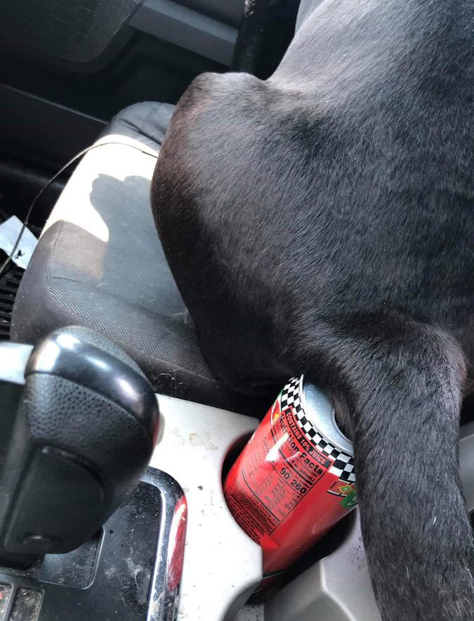 Nigga put his WHOLE ASSS ON MY DRINK 😭😭 bitch ass dog man never riding with me again