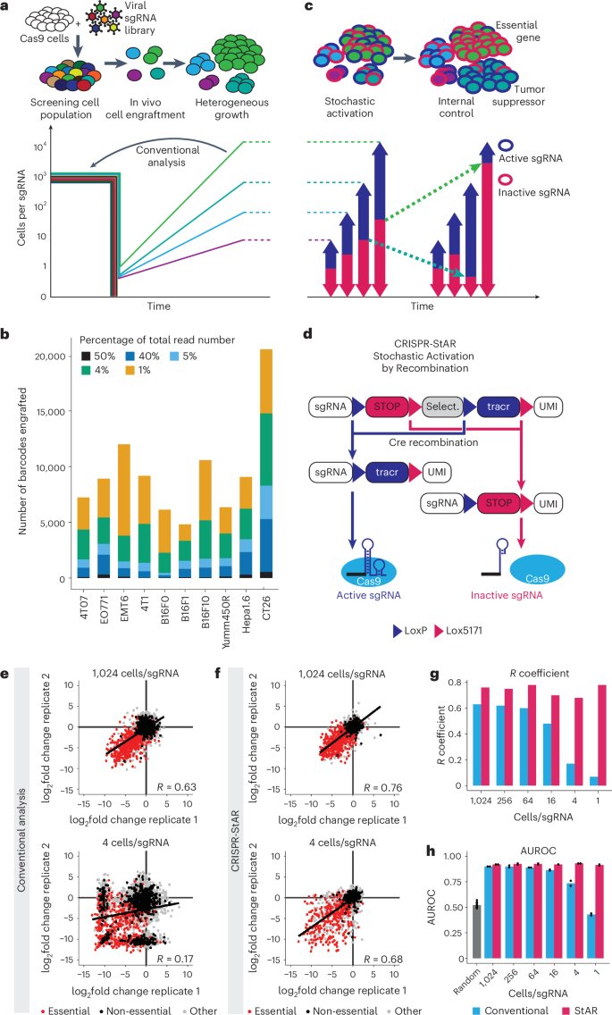 CRISPR-StAR enables high-resolution genetic screening in complex in vivo models go.nature.com/4giANvD