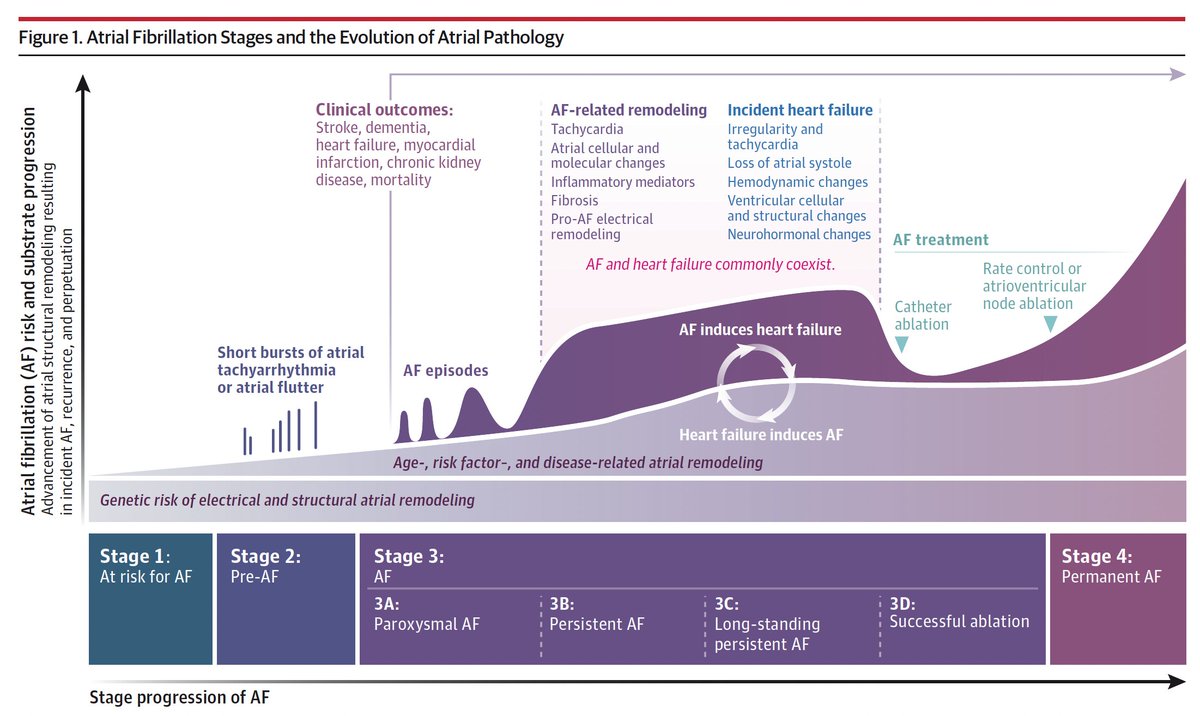 Eric Topol (@erictopol) on Twitter photo A new, very good, comprehensive review on atrial fibrillation
jamanetwork.com/journals/jama/… <a href="/JAMA_current/">JAMA</a> <a href="/darae_ko/">Darae Ko, MD, MSc, FAHA</a> <a href="/EmeliaBenjamin/">Emelia J. Benjamin</a> <a href="/EP_mom1/">Mina Chung MD</a> A new, very good, comprehensive review on atrial fibrillation
jamanetwork.com/journals/jama/… <a href="/JAMA_current/">JAMA</a> <a href="/darae_ko/">Darae Ko, MD, MSc, FAHA</a> <a href="/EmeliaBenjamin/">Emelia J. Benjamin</a> <a href="/EP_mom1/">Mina Chung MD</a>