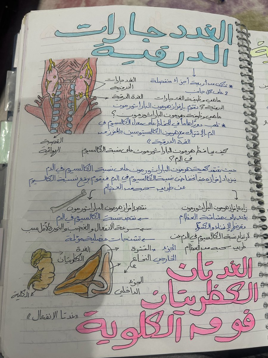 thegoddmother's tweet photo. لقيت دفتري في ٣ ثانوي و بعدين افتكرت جبت كام في الاخر https://t.co/sSJndLvmBo