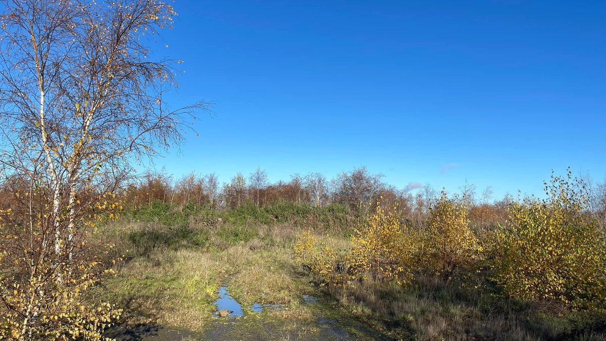 Friends of Betteshanger Country Park tweet media