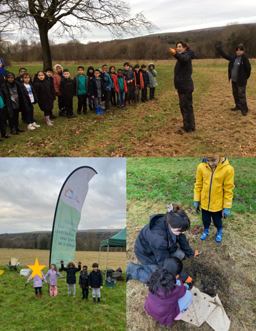 Haslam Park Primary School tweet media