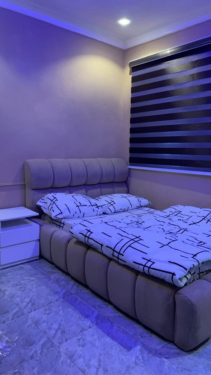 Woody 🪵 tweet media