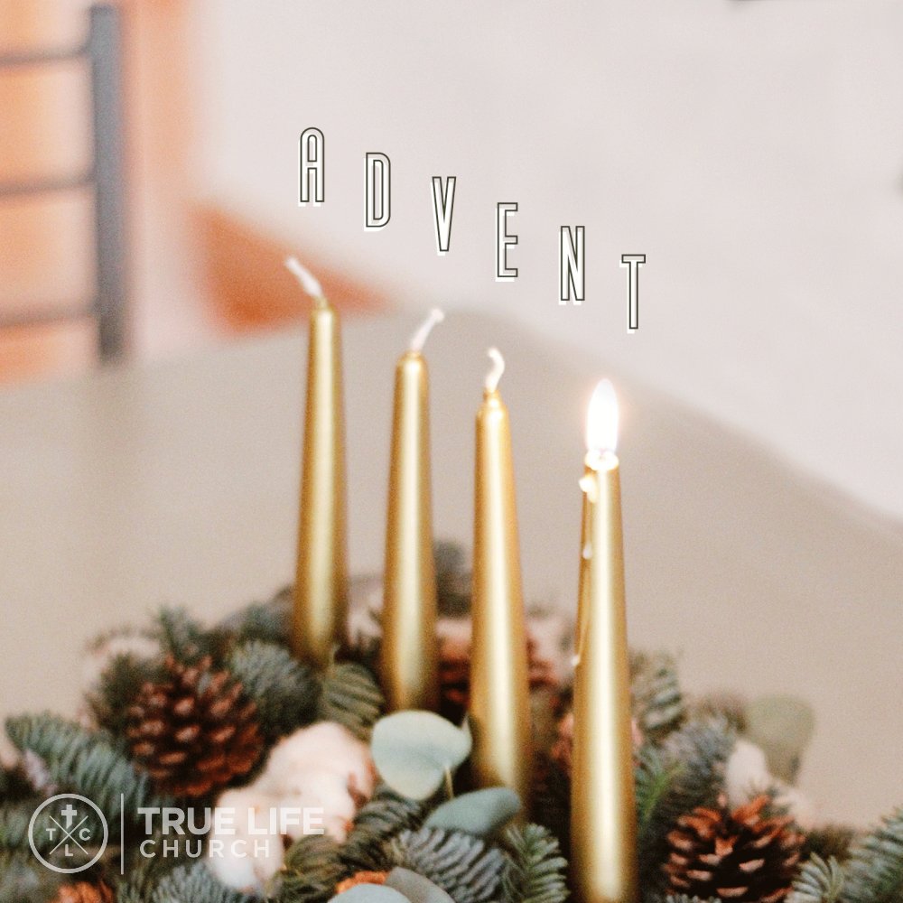 FindTrueLifeCC's tweet image. 