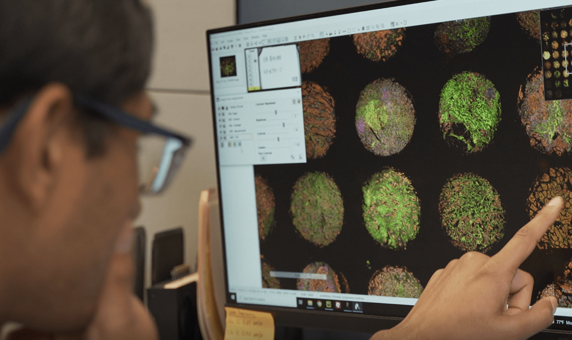 Visikol's tweet photo. One of the key steps in the drug discovery process is high-throughput screening, which allows researchers to test large numbers of compounds quickly and efficiently. This is where Visikol comes in --> https://t.co/bBlcuIL0QZ

#Visikol #DrugDiscovery #HighThroughputScreening https://t.co/WdGYrc6q3w