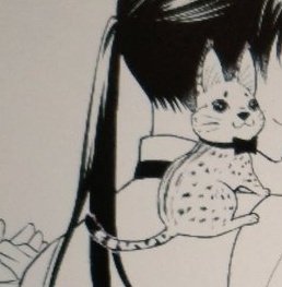 「単行本2巻の描き下ろしやら原稿直しでギリギリまで時間使ってしまった…来年獣人シェ」|遊佐ハルカのイラスト