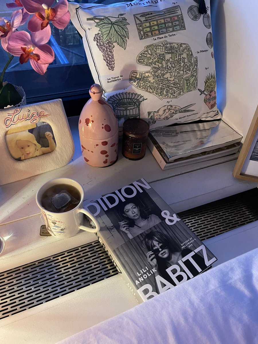 didion &amp; babitz was my most disappointing read of 2024… and i was looking forward to it for so long! did anyone actually enjoy?