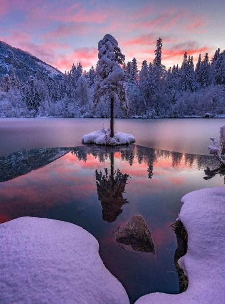 TLeoni311's tweet photo. Good evening 💫 https://t.co/bcWc9fTlcC