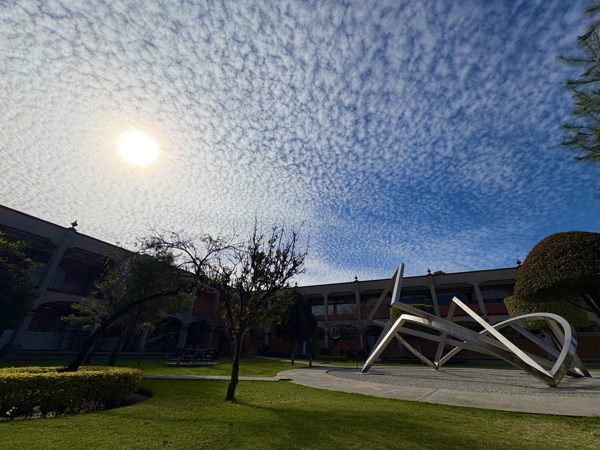 hgoalvarez's tweet photo. Una mañana de diciembre 

⁦@udlap⁩ https://t.co/datLhpHfXf