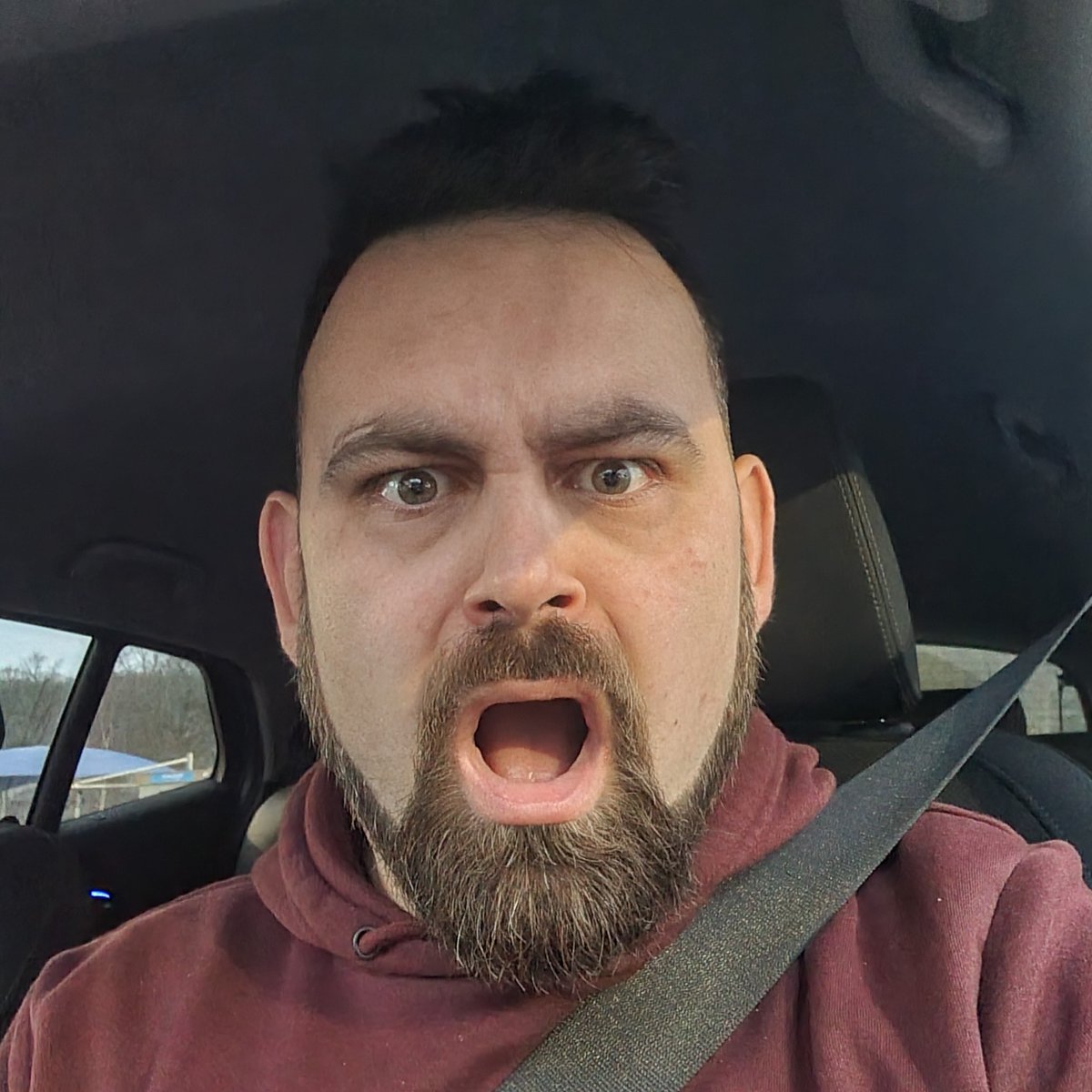 PleasantKenobi tweet media