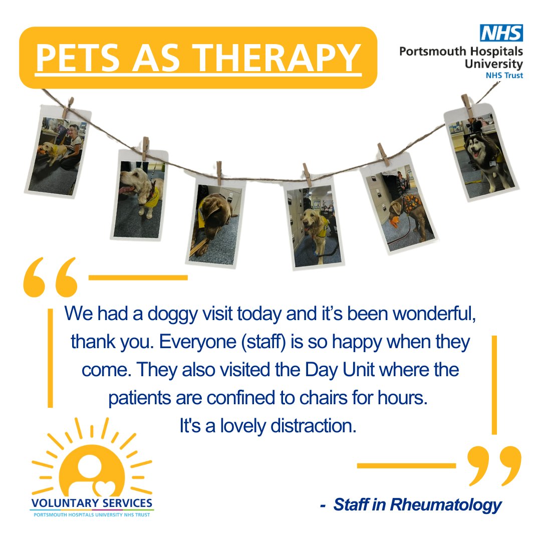 We absolutely love pawsitive feedback about our <a href="/PetsAsTherapyUK/">Pets As Therapy</a> teams and the joy they bring staff and patients.

The Rheumatology team have really loved their visits from the dogs and their owners and have created a 'Wall of Fame' to display they visits.