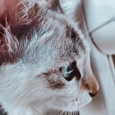 #NewProfilePic