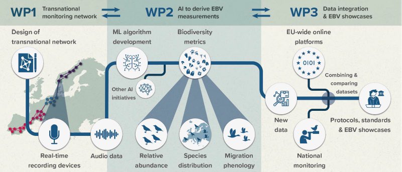 GBiC_CTFC (@gbic_ctf) on Twitter photo 🚨JOB OFFER🚨 2-year postdoc position <a href="/BiodiversaPlus/">Biodiversa+ (European Biodiversity Partnership)</a> TABMON (Towards a transnational Acoustic Biodiversity MONitoring network) project at <a href="/ctforestal/">CTFC</a> on #bioacoustics & #ornithology with 🇳🇴🇫🇷🇳🇱 partners and collaboration with <a href="/ICOcells/">ICOcells</a> & <a href="/_EBCC/">European Bird Census Council</a> . + info: shorturl.at/HE0qh 🚨JOB OFFER🚨 2-year postdoc position <a href="/BiodiversaPlus/">Biodiversa+ (European Biodiversity Partnership)</a> TABMON (Towards a transnational Acoustic Biodiversity MONitoring network) project at <a href="/ctforestal/">CTFC</a> on #bioacoustics & #ornithology with 🇳🇴🇫🇷🇳🇱 partners and collaboration with <a href="/ICOcells/">ICOcells</a> & <a href="/_EBCC/">European Bird Census Council</a> . + info: shorturl.at/HE0qh