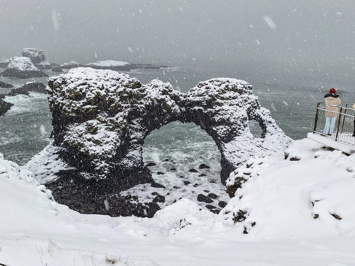 IcelandBus's tweet image. Snowfall on Snæfellsnes Peninsula ❄😊

📸 by our amazing guide Alain Corbeau

#Iceland #budarkirkja #arnarstapi #Snaefellsnes