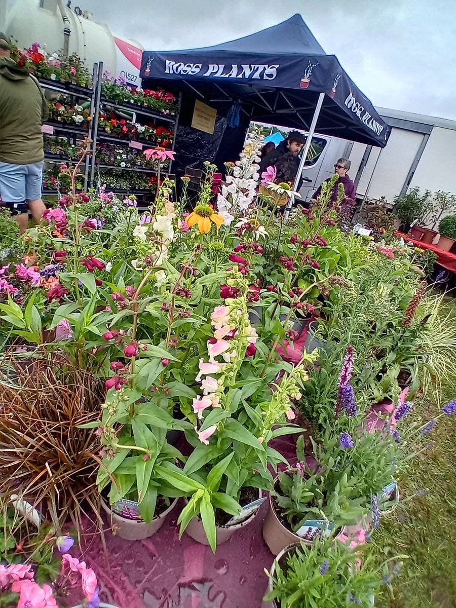 Hanbury Show tweet media