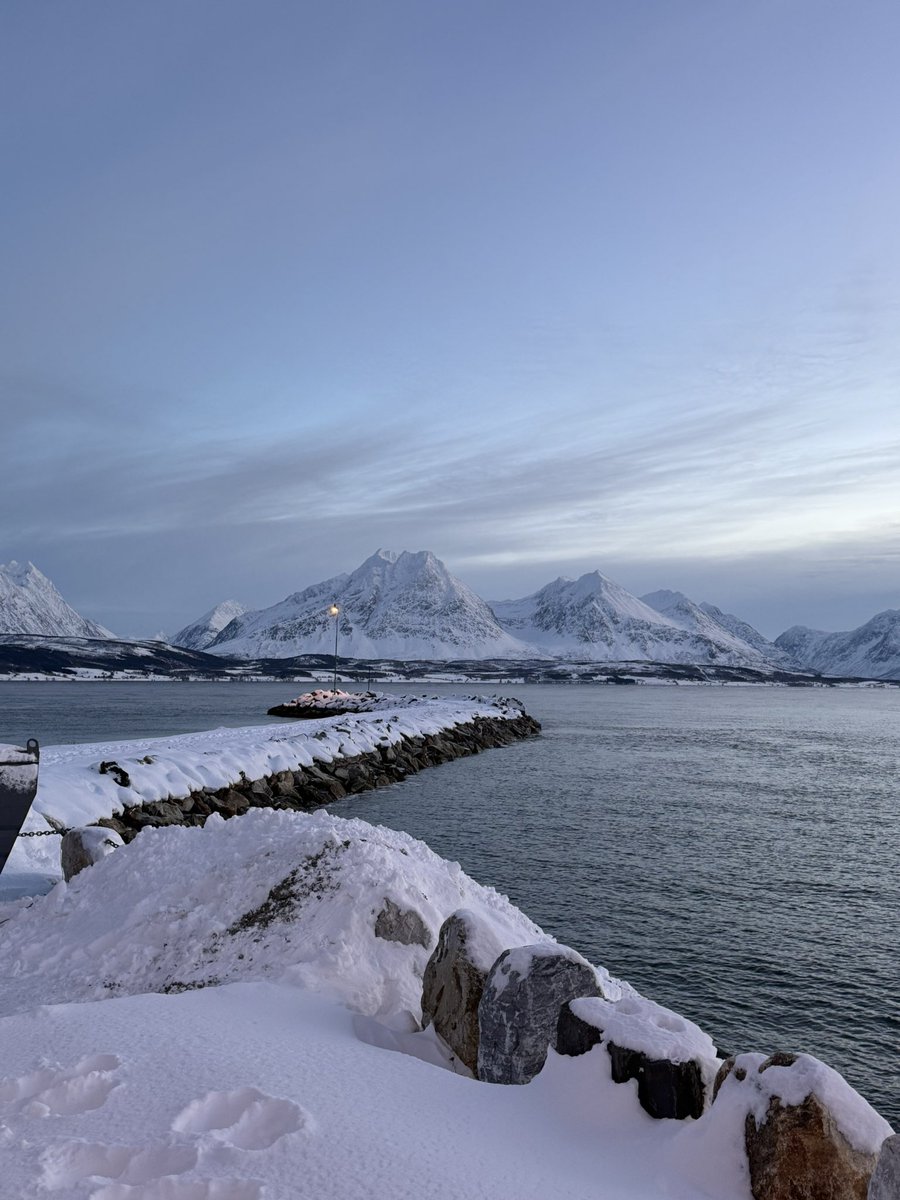arwenom's tweet photo. j’étais un peu déprimé y a quelques semaines alors j’me suis réservé un séjour en Norvège et jsuis heureux d’avoir fait ce mouv compulsif https://t.co/cfnUQugLQe