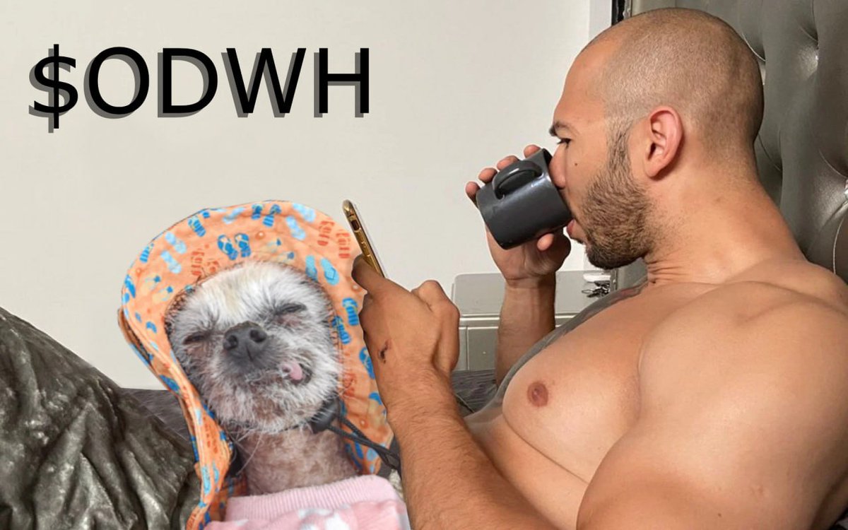 Olddogwifhat's tweet photo. ODWH is transforming the meme coin narrative! Get ready for value that’ll make you smile! ! #odwh #meltt https://t.co/u3ImUJRqkj