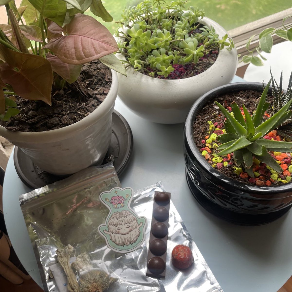 Nuevas burbujas de choco hongos🍄