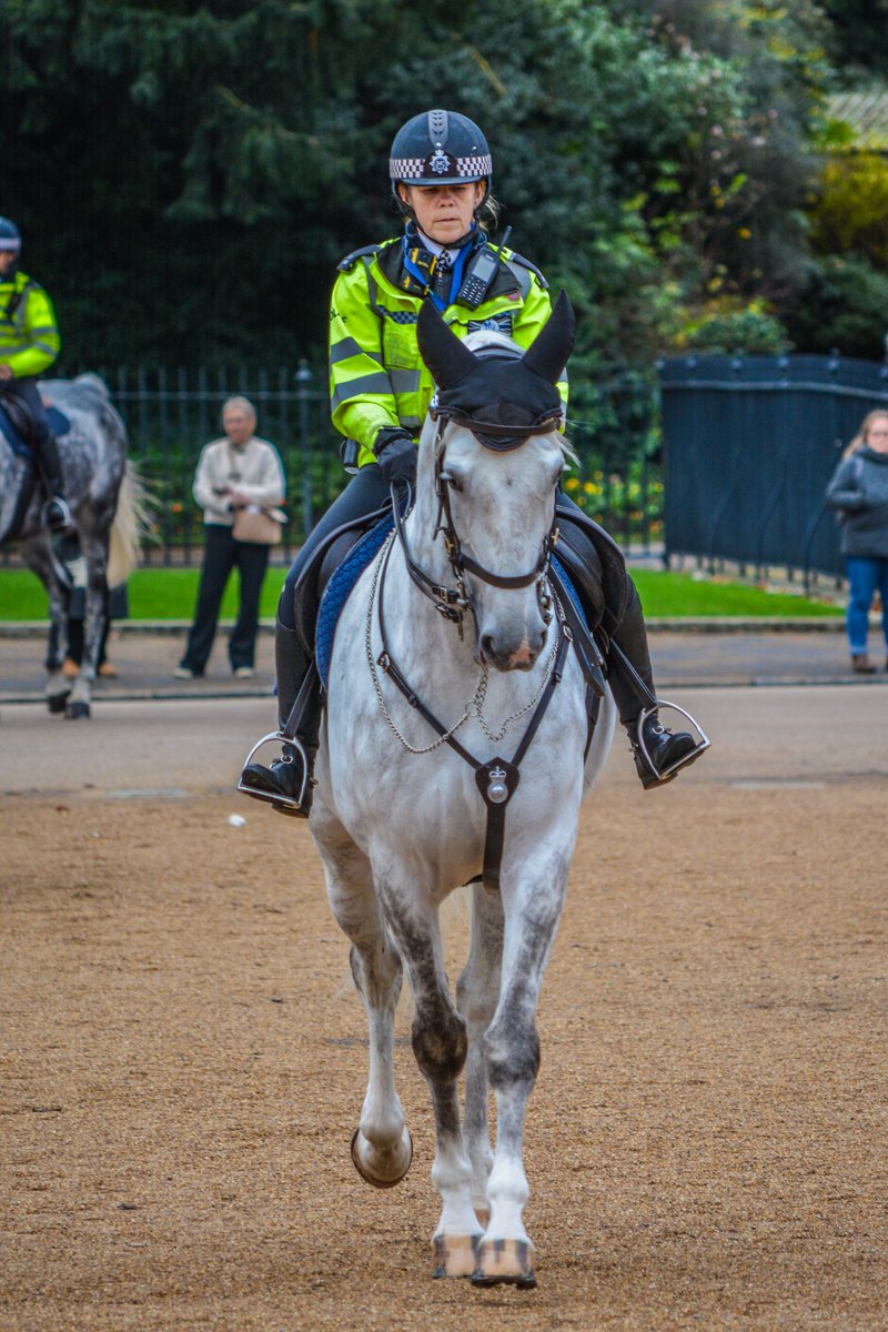 Mark Leishman (@markleishman23) on Twitter photo Monday 16th December 2024.
<a href="/HCav1660/">Household Cavalry</a> Kings Life Guards hand over Horse Guards to the Blues and Royals.
<a href="/MetTaskforce/">Met Police Taskforce</a> made sure everyone was safe at all times
Phptographer: <a href="/MarkLeishman23/">Mark Leishman</a> Monday 16th December 2024.
<a href="/HCav1660/">Household Cavalry</a> Kings Life Guards hand over Horse Guards to the Blues and Royals.
<a href="/MetTaskforce/">Met Police Taskforce</a> made sure everyone was safe at all times
Phptographer: <a href="/MarkLeishman23/">Mark Leishman</a>