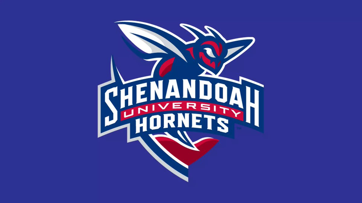 AamirStewart_'s tweet photo. After talking to @HBBauserman today. Im blessed to receive my first D3 Offer💯
 @Coach_Hendo_WL 
@SUhornetsFB 
@WlhFootball 
@theBallCoachRob 
@CoachGreengold https://t.co/20tg6HaaKk