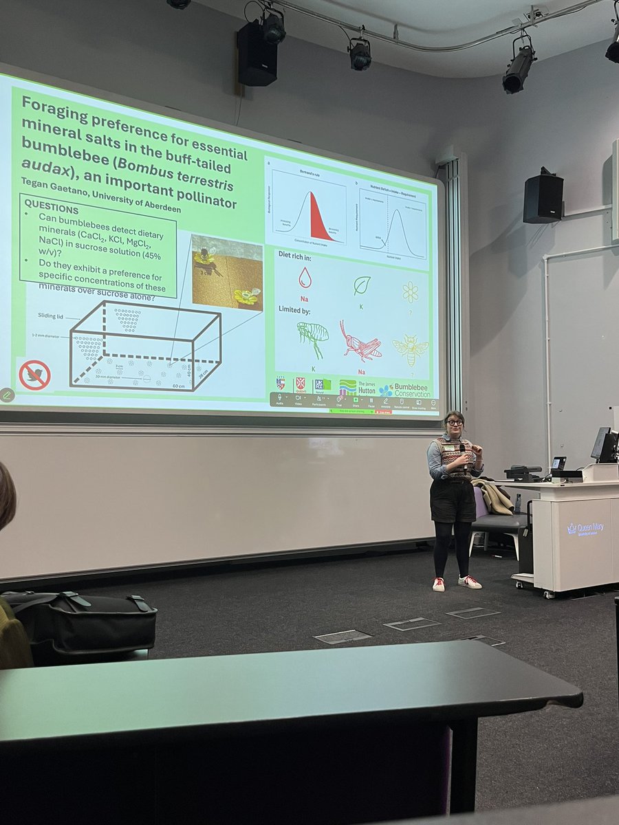 The great @tegangaetano presenting her project on bumblebees foraging preferences for different minerals #iussi with <a href="/UoABioSci/">School of Biological Sciences</a> and <a href="/QUADRATdtp/">QUADRAT</a>
