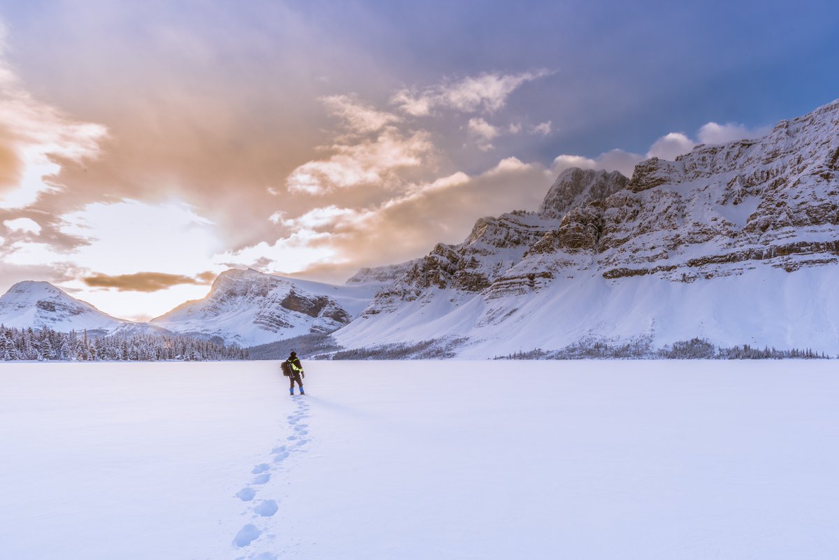2024 has been a year of growth and ambition here at Generate Canada

In this blog, we reflect on 5 big, bold ambitions we pushed forward along with our partners this year (and have plans to push even further in 2025): generatecanada.ca/solution-stori…
