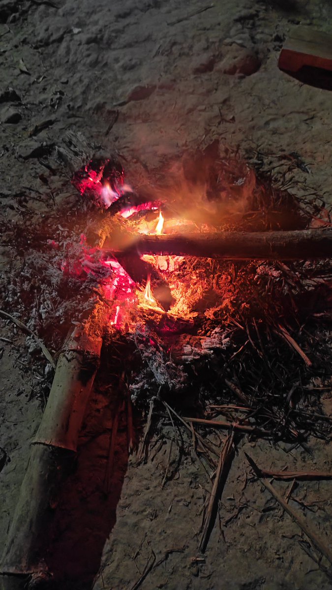 ये सर्द रात, काम की थकन तन्हाई का साथ, 
हम अपने शहर होते तो घर चले जाते|
हाथ सेको और रजाई में पड़े रहो।
शुभ रात्रि 🌃