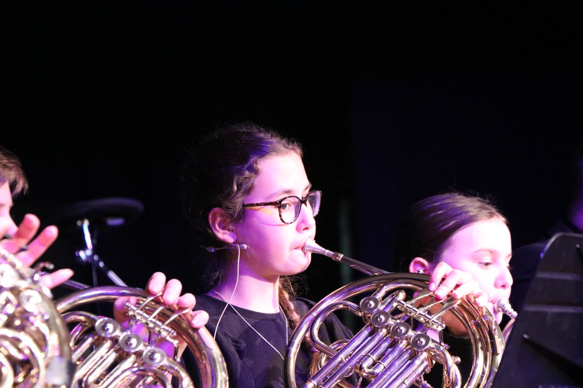 People of Bramhall! 🎤🎻🎸🎄Our Christmas music concert last week was another huge success!
As always, it was a fantastic display of talent and hard work from over one hundred BHS student musicians, fifteen Ladybrook Primary pupils, our twelve expert music tutors and our amazing