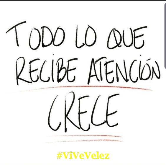 ViVeVelez's tweet photo. 🫶Por un 2025 lleno de cosas positivas, de trabajo y de muchas novedades que vamos a traer.
#deportes #asociaciones #cultura #tradiciones #patrimonio #arte #gastronomia #3SECTOR #mayores #niños #innovacion #creadores #comercio #hosteleria #empresas #sinergias
y mucho más...🤜🤛 https://t.co/P9BtCRtbFd