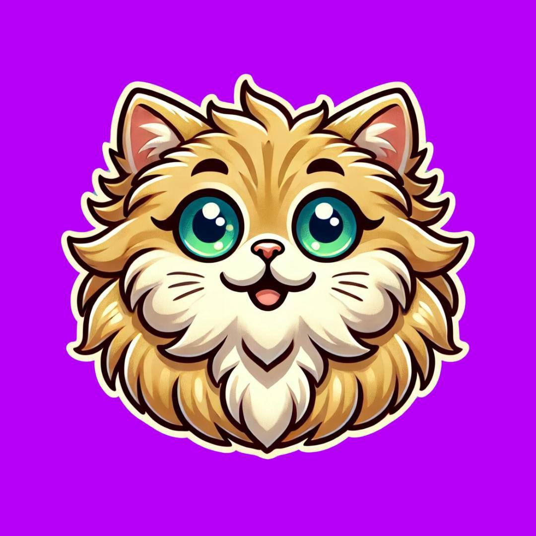 WHALE 🐳 EVERYTHING tweet media